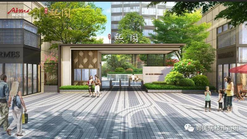 CBK最新地址获取指南，初学者与进阶用户的步骤指南