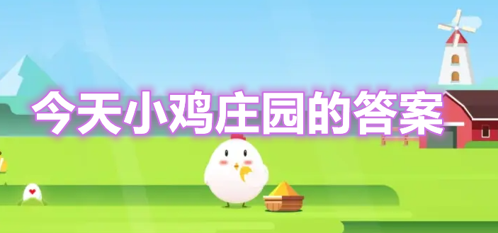 今日最新小鸡答案，温馨有趣的成长之旅