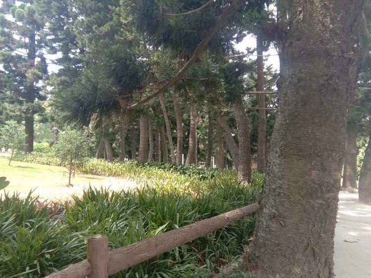 厦门植物园最新进展，变化中的绿洲，自信与成就之源