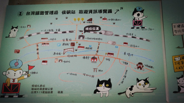 猫咪最新路线，深度分析与阐述的观点