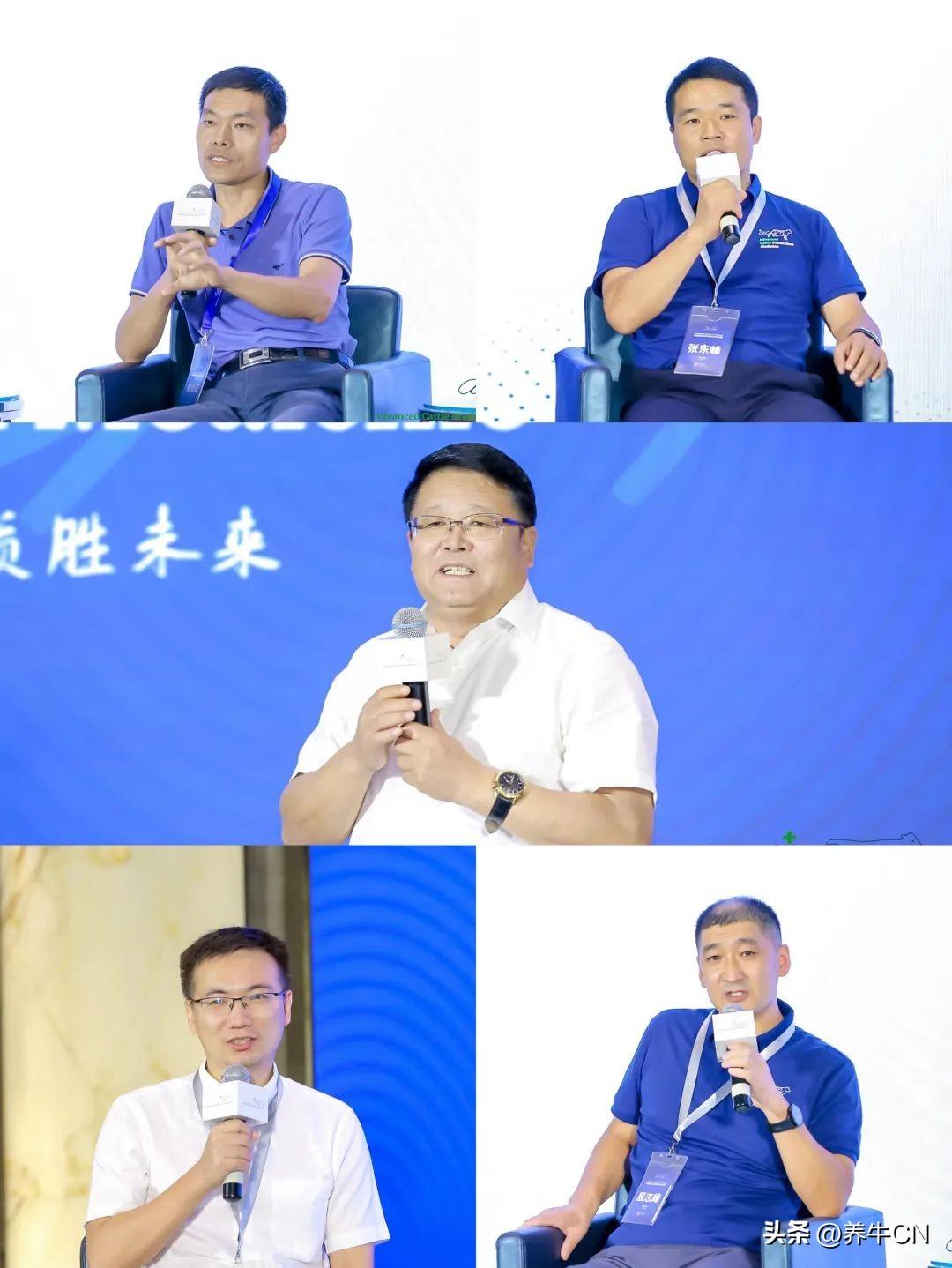 最新奶牛养殖培训，自然美景中的鼓舞之旅，探索养殖新境界
