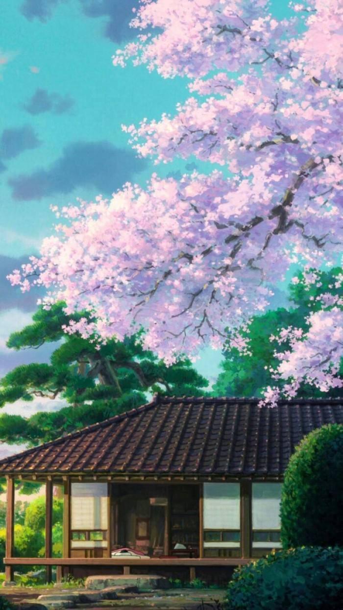 樱花动漫与科技融合，重塑动漫世界，感受科技魅力的独特体验