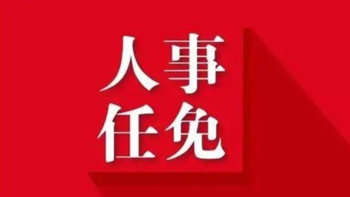 三门峡人事任免信息深度解析，影响与洞察