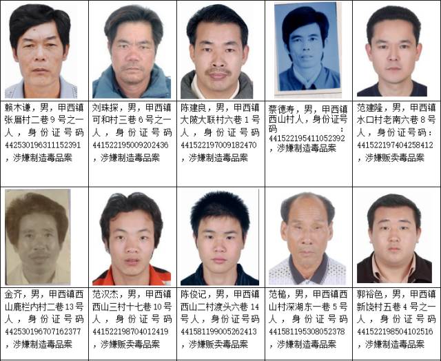 福安最新通缉名单公布，聚焦要点深化理解，警惕犯罪风险！