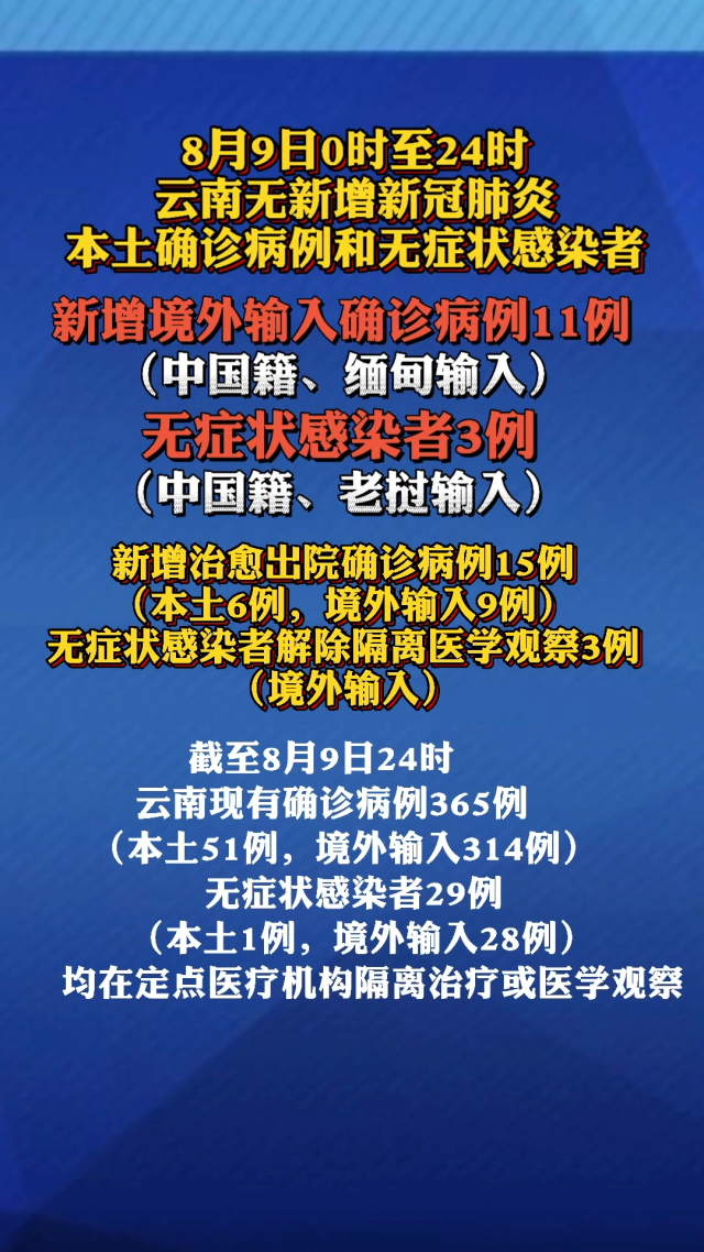 云南疫情最新病例，关注与应对策略