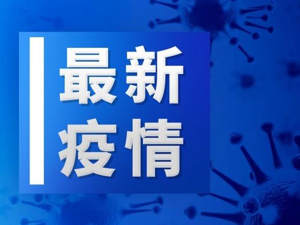 荆州最新病例详解，了解与应对的全方位指南（适合初学者及进阶用户）