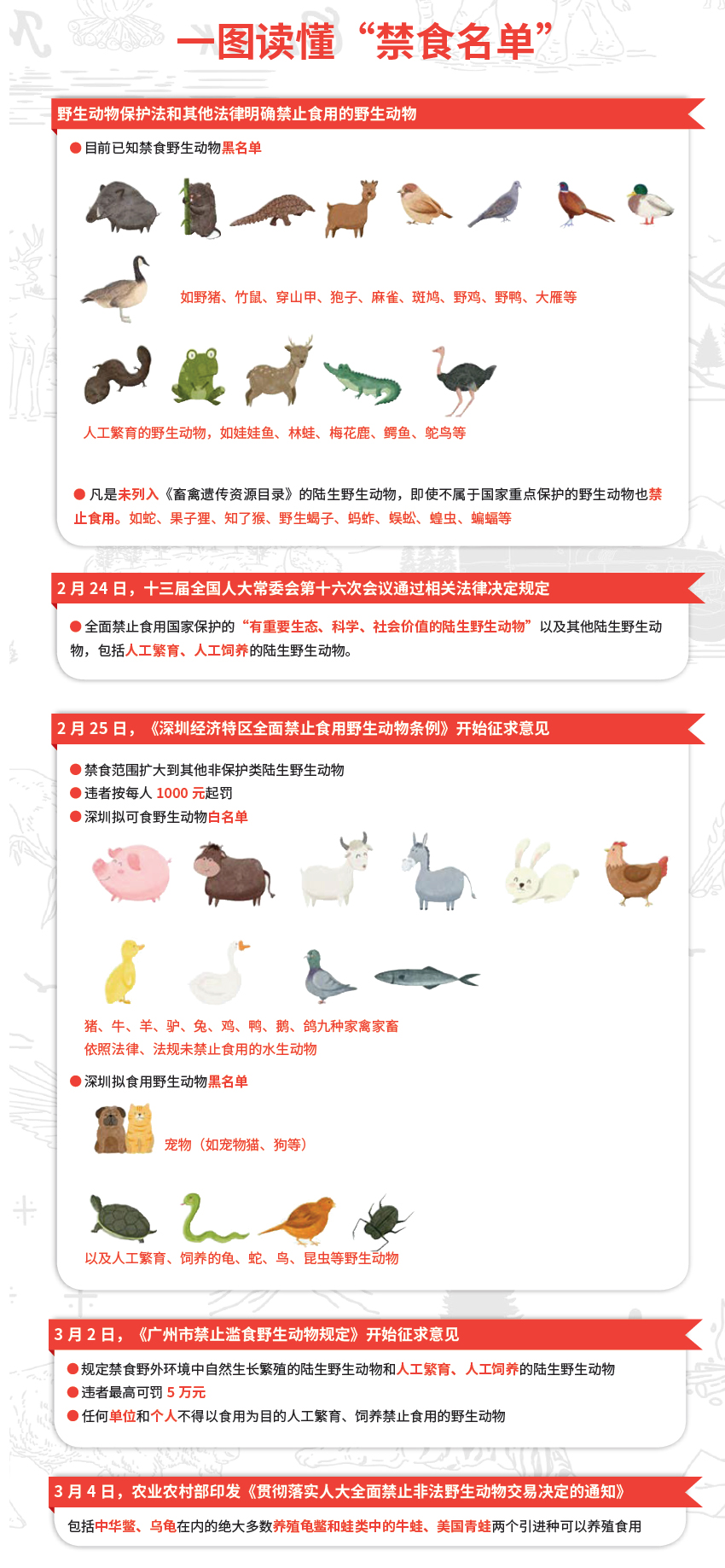 全面禁食野味，最新步骤指南