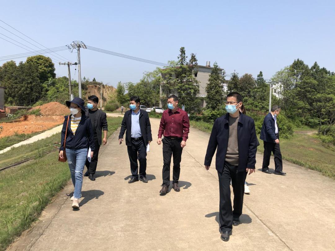 进贤最新新，探索与发展之路